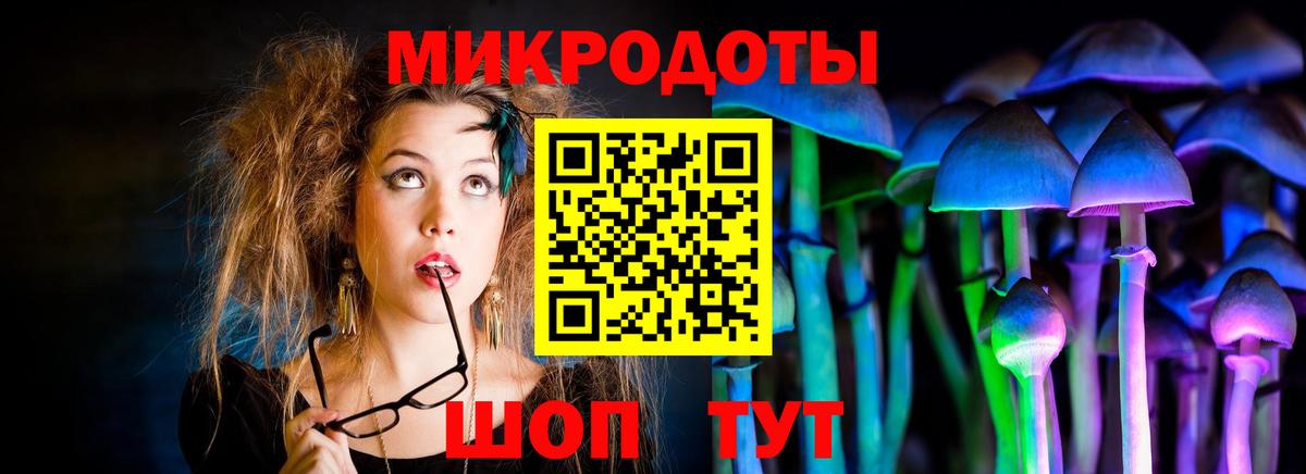 Галлюциногенные грибы Magic Shrooms Саранск